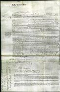 Court of Common Pleas - Rebecca Gray-Original Ancestry