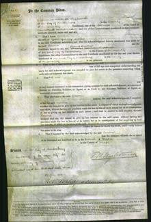 Court of Common Pleas - Emma Martin-Original Ancestry