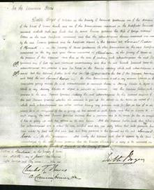 Court of Common Pleas - Frances Goddard Soltau #2-Original Ancestry