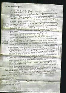 Court of Common Pleas - Anna Armstrong, Isabella Blackwood-Original Ancestry