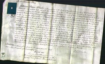 Court of Common Pleas - Nancy Edwards-Original Ancestry