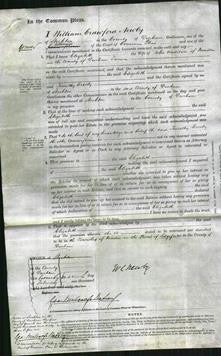 Court of Common Pleas - Elizabeth Addison-Original Ancestry