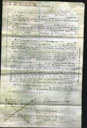 Court of Common Pleas - Frances Sarah Hartley-Original Ancestry