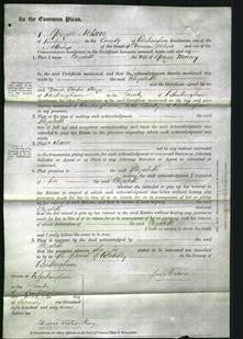 Court of Common Pleas - Elizabeth Morrey-Original Ancestry