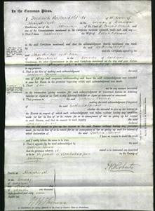 Court of Common Pleas - Catherine Edward-Original Ancestry