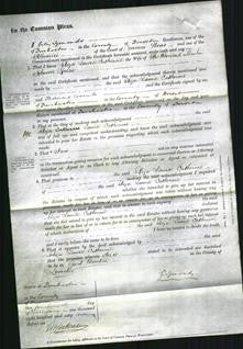 Court of Common Pleas - Eliza Laura Catherine Green-Original Ancestry