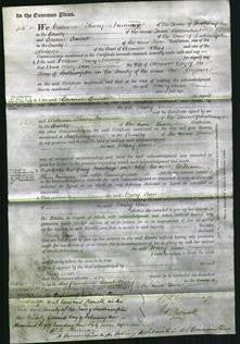 Court of Common Pleas - Mary Ann Gay-Original Ancestry