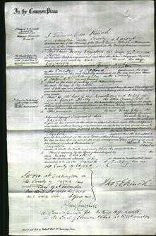 Court of Common Pleas - Mary Elizabeth Hore #2-Original Ancestry