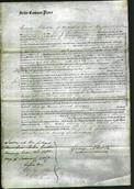 Court of Common Pleas - Mary Ann Simpson-Original Ancestry