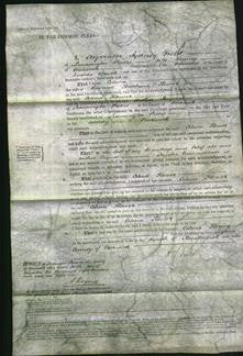 Court of Common Pleas - Celina Flower-Original Ancestry