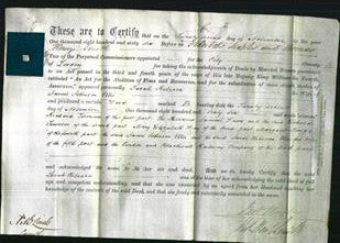 Deed by Married Women - Sarah Rebecca Ellis-Original Ancestry