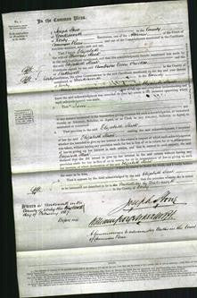 Court of Common Pleas - Elizabeth Slack-Original Ancestry