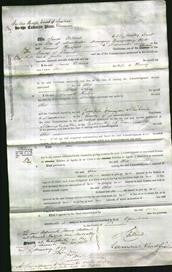 Court of Common Pleas - Alice Raskoff-Original Ancestry