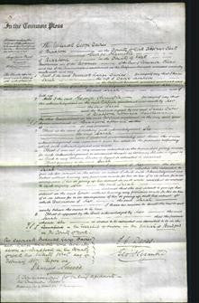 Court of Common Pleas - Sarah Moulson-Original Ancestry