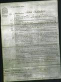 Court of Common Pleas - Sarah Johnston-Original Ancestry