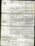 Court of Common Pleas - Catherina Emelia Manley-Original Ancestry