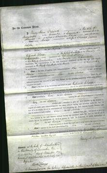 Court of Common Pleas - Maria Ashton-Original Ancestry