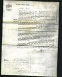 Court of Common Pleas - Charlotte Canning-Original Ancestry
