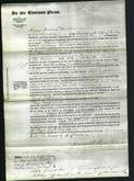 Court of Common Pleas - Eliza Crossland Swain-Original Ancestry