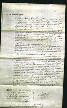 Court of Common Pleas - Sarah Bradbury, Elizabeth Dingle, Emma Robinson-Original Ancestry