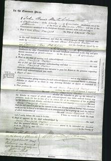 Court of Common Pleas - Ann Whinfield Walker-Original Ancestry