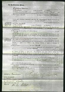 Court of Common Pleas - Sarah Blackman-Original Ancestry