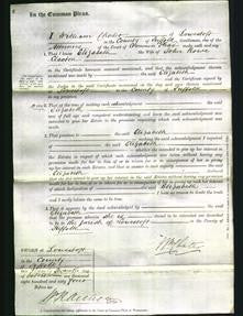Court of Common Pleas - Elizabeth Claxton-Original Ancestry