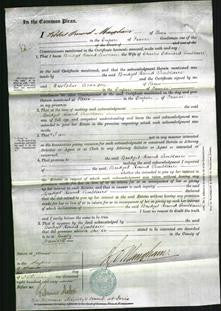 Court of Common Pleas - Bridget Round Temblaire-Original Ancestry