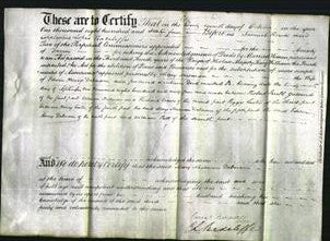 Deed by Married Women - Mary Newman Debnam-Original Ancestry