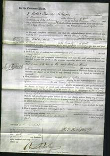 Court of Common Pleas - Mary Sykes-Original Ancestry