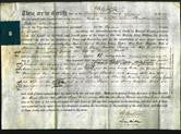 Deed by Married Women - Ann Higgs, Ann Hester Higgs, Mary Gellett Susan Hill, Fanny-Original Ancestry