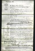 Court of Common Pleas - Elizabeth Frances De Witte-Original Ancestry