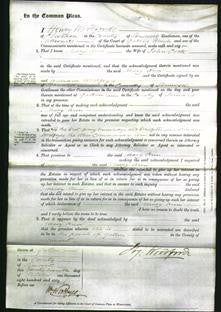 Court of Common Pleas - Mary Ann Cook #2-Original Ancestry