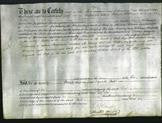 Deed by Married Women - Elizabeth Carter-Original Ancestry