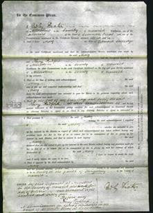 Court of Common Pleas - Mary Morewood Colledge-Original Ancestry