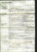Court of Common Pleas - Elizabeth Carter-Original Ancestry