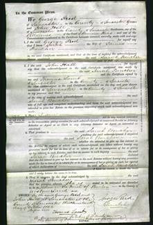 Court of Common Pleas - Sarah Boucher-Original Ancestry