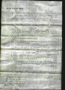 Court of Common Pleas - Ann Williams-Original Ancestry