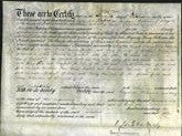 Deed by Married Women - Elizabeth King, Margaret Kemble, Mary Wilson-Original Ancestry