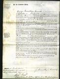 Court of Common Pleas - Eliza Lane-Original Ancestry