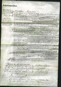 Court of Common Pleas - Jane Knight-Original Ancestry