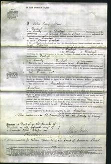 Court of Common Pleas - Caroline Foskett-Original Ancestry