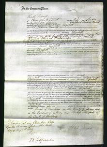 Court of Common Pleas - Elizabeth Daniels-Original Ancestry