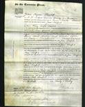 Court of Common Pleas - Jane Sawford-Original Ancestry