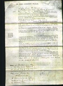 Court of Common Pleas - Martha Cowan-Original Ancestry