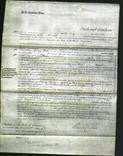 Court of Common Pleas - Elizabeth Nicholson-Original Ancestry