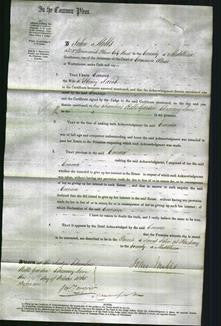 Court of Common Pleas - Emma Jacob-Original Ancestry