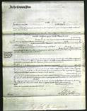 Court of Common Pleas - Susan Pickett-Original Ancestry