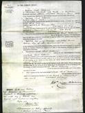 Court of Common Pleas - Sarah Catherine Heald-Original Ancestry