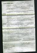 Court of Common Pleas - Eliza Nicholson-Original Ancestry